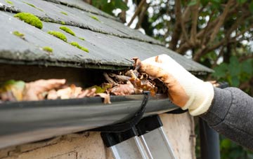 gutter cleaning Lower Woodford, Wiltshire