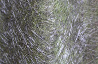 Lower Woodford fibreglass roof work